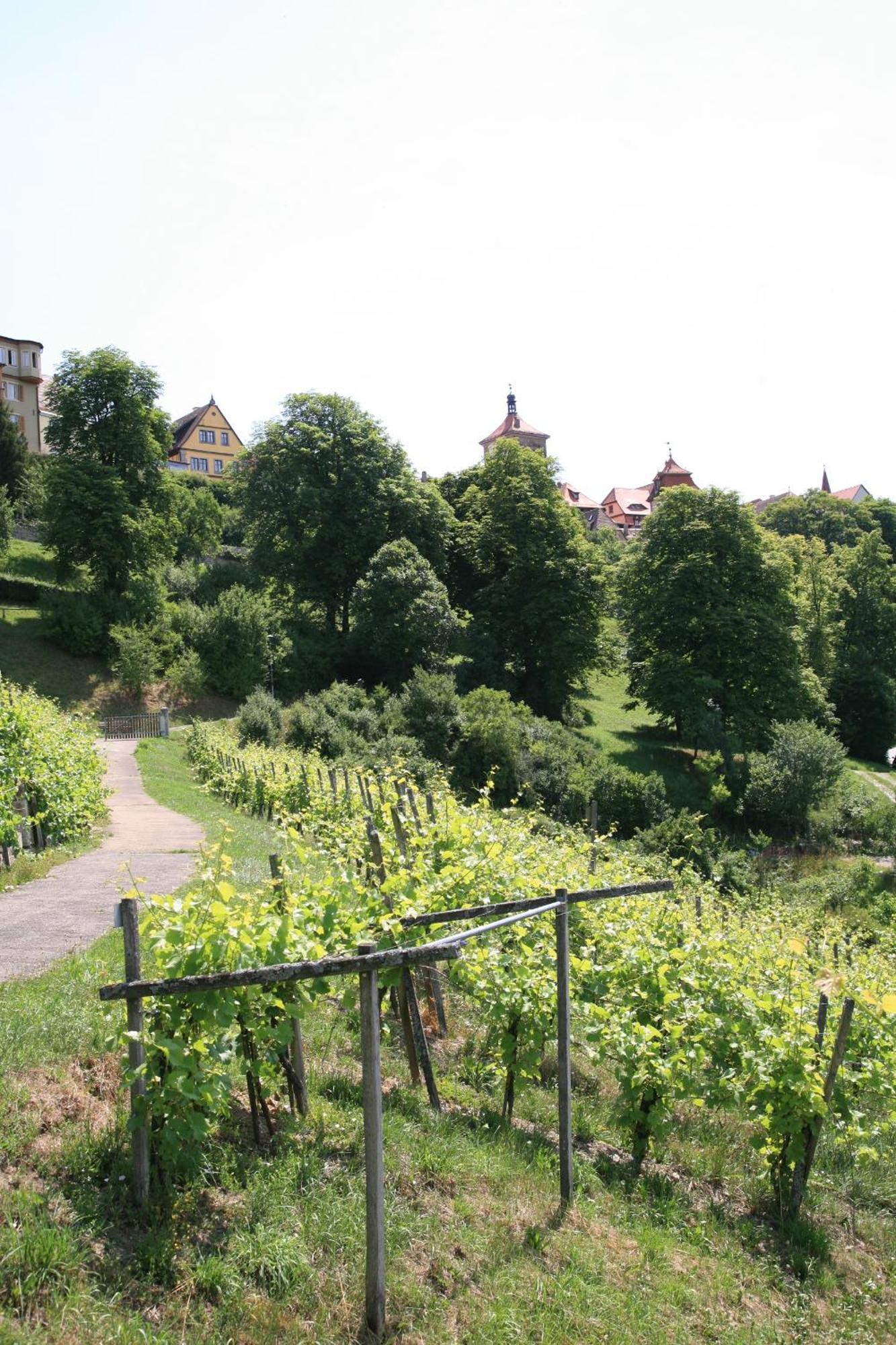 Glocke Weingut Und Hotel Rothenburg ob der Tauber Exterior foto
